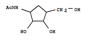 Acetamide,n-[2,3-dihydroxy-4-(hydroxymethyl)cyclopentyl]- Structure,856328-53-5Structure