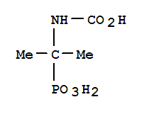 Phosphonic acid,(1-carboxyamino-1-methylethyl)-(5ci) Structure,872813-45-1Structure