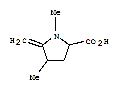 Proline, 1,4-dimethyl-5-methylene-(7ci) Structure,90087-75-5Structure