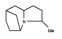 5,8-Methano-1h-pyrrolo[1,2-a]azepine,octahydro-3-methyl-(9ci) Structure,90307-29-2Structure