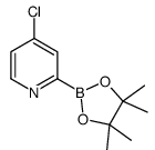 4-Chloropyridine-2-boronic acid pinacol ester Structure,1204600-17-8Structure