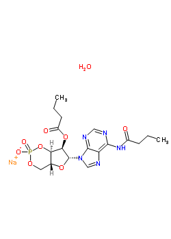 N-6,o-2’-dibutyryladenosine 3’:5’-cyclic monophosphate sodium salt Structure,123334-06-5Structure