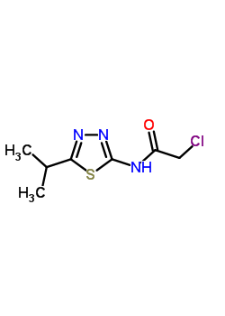 2-Chloro-n-(5-isopropyl-[1,3,4]thiadiazol-2-yl)-acetamide Structure,15777-41-0Structure