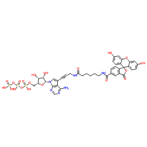 Fluorescein alkylamino-atp Structure,185971-89-5Structure