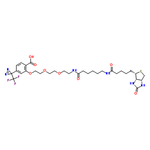 2-{[10,17-Dioxo-21-(2-oxohexahydro-1h-thieno[3,4-d]imidazol-4-yl)-3,6-dioxa-9,16-diazahenicos-1-yl]oxy}-4-[3-(trifluoromethyl)-3h-diaziren-3-yl]benzoic acid Structure,207971-23-1Structure