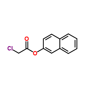 Acetic acid, 2-chloro-,2-naphthalenyl ester Structure,26177-06-0Structure