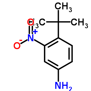 Benzenamine, 4-(1,1-dimethylethyl)-3-nitro- Structure,31951-12-9Structure