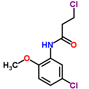 3-Chloro-n-(5-chloro-2-methoxyphenyl)propanamide Structure,346726-62-3Structure