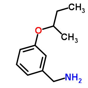 [3-(Sec-butoxy)phenyl]methanamine Structure,37806-41-0Structure