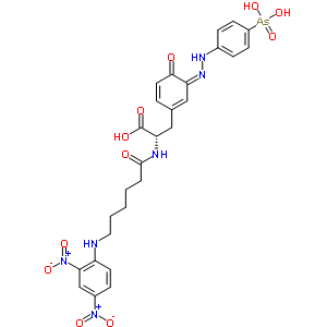 (2S)-3-[(3z)-3-[(4-arsonophenyl)hydrazinylidene]-4-oxo-1-cyclohexa-1,5-dienyl]-2-[6-[(2,4-dinitrophenyl)amino]hexanoylamino]propanoic acid Structure,38337-12-1Structure