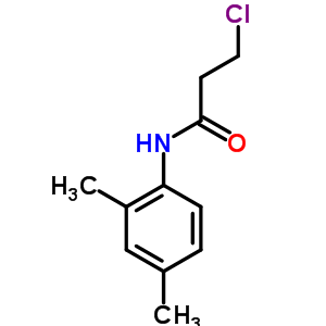 3-Chloro-n-(2,4-dimethylphenyl)propanamide Structure,39494-04-7Structure