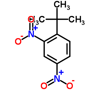 1-Tert-butyl-2,4-dinitrobenzene Structure,4160-54-7Structure