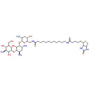 N-biotinyl-12-aminododecanoyltobramycin amide Structure,419573-20-9Structure