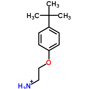 2-(4-Tert-butylphenoxy)ethanamine hydrochloride Structure,50634-73-6Structure