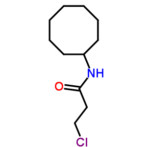 3-Chloro-n-cyclooctylpropanamide Structure,543711-67-7Structure