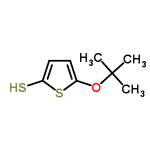 Thiophene-2-thiol,5-(1,1-dimethylethoxy)- Structure,54789-36-5Structure