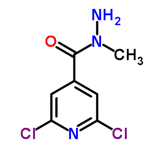 N-methyl-2,6-dichloroisonicotinic hydrazide Structure,57803-52-8Structure