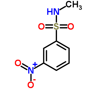 N-methyl-3-nitrobenzenesulfonamide Structure,58955-78-5Structure