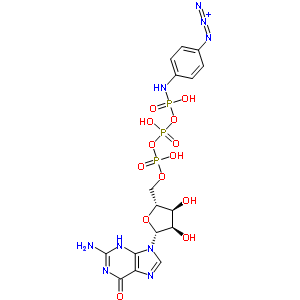 Gtp gamma-4-azidoanilide Structure,60869-76-3Structure