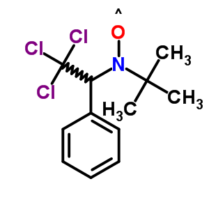 Nitroxide,1,1-dimethylethyl 2,2,2-trichloro-1-phenylethyl Structure,63711-04-6Structure