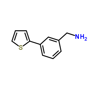 (3-Thien-2-ylphenyl)methylamine Structure,859850-86-5Structure