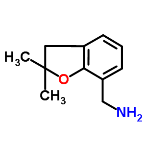 (2,2-Dimethyl-2,3-dihydro-1-benzofuran-7-yl)methylamine Structure,868755-44-6Structure