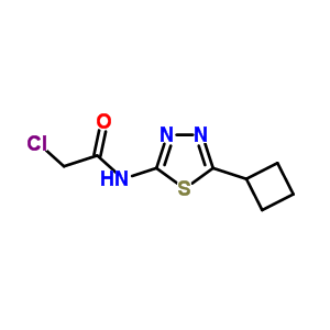 2-Chloro-N-(5-cyclobutyl-[1,3,4]thiadiazol-2-yl)-acetamide Structure,878668-04-3Structure