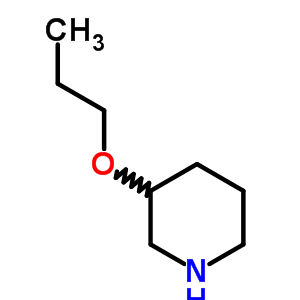 3-Propoxy-piperidine Structure,89122-72-5Structure