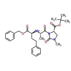 Imidaprilat benzyl ester, (carbonylimidazolidine)tert-butyl ester Structure,89460-20-8Structure