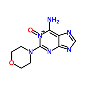 2-Morpholin-4-yl-1-oxo-purin-6-amine Structure,90563-41-0Structure