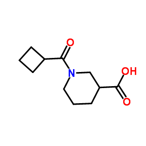 1-(Cyclobutylcarbonyl)-3-piperidinecarboxylic acid Structure,926214-73-5Structure