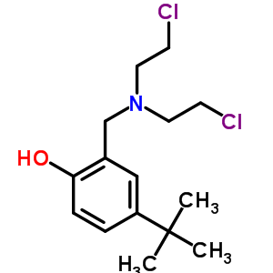 2-[Bis(2-chloroethyl)aminomethyl]-4-tert-butyl-phenol Structure,92725-09-2Structure